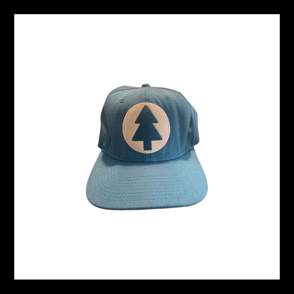 Dipper pines Gravity Falls hat one size fits most